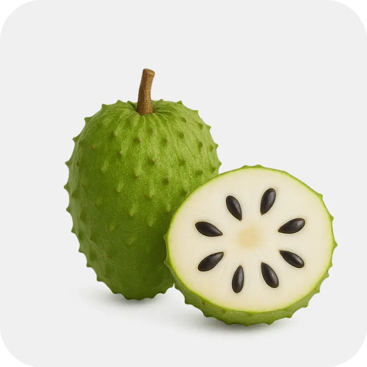 SOURSOP