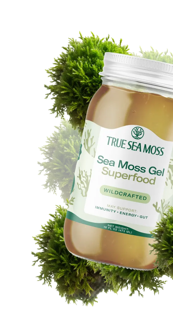 files/wildcrafted-sea-moss-gel-superfood-mob.webp