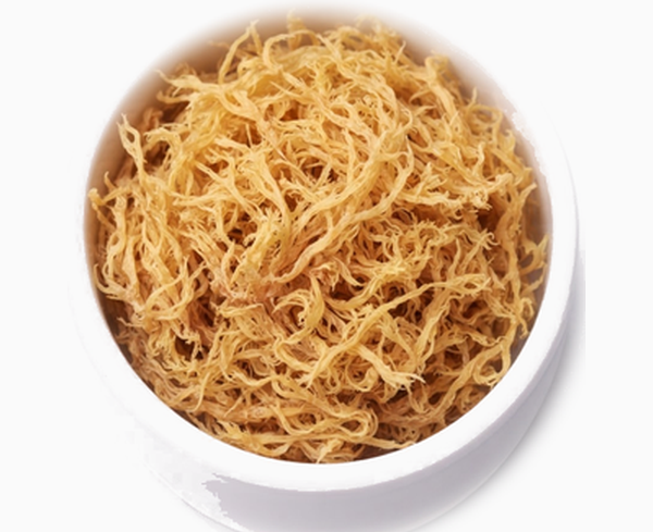 Real Sea Moss